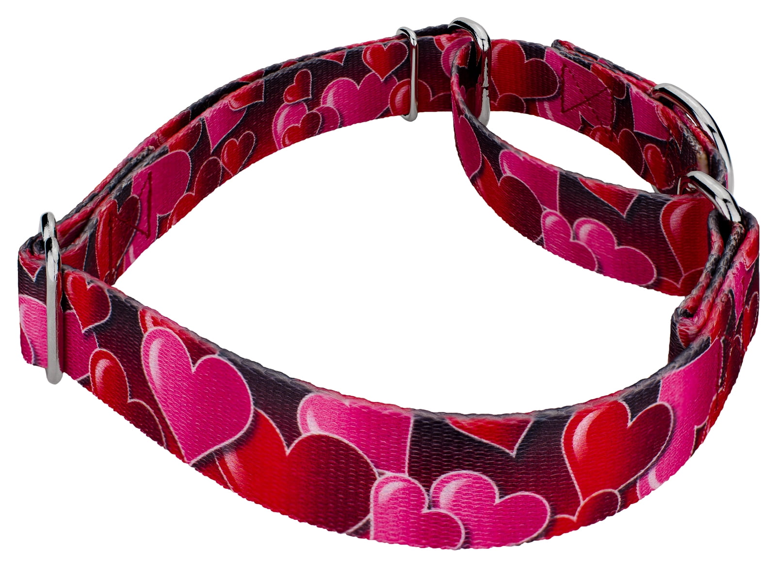 Country Brook Petz® Romantic Hearts Martingale Dog Collar and Leash, Large