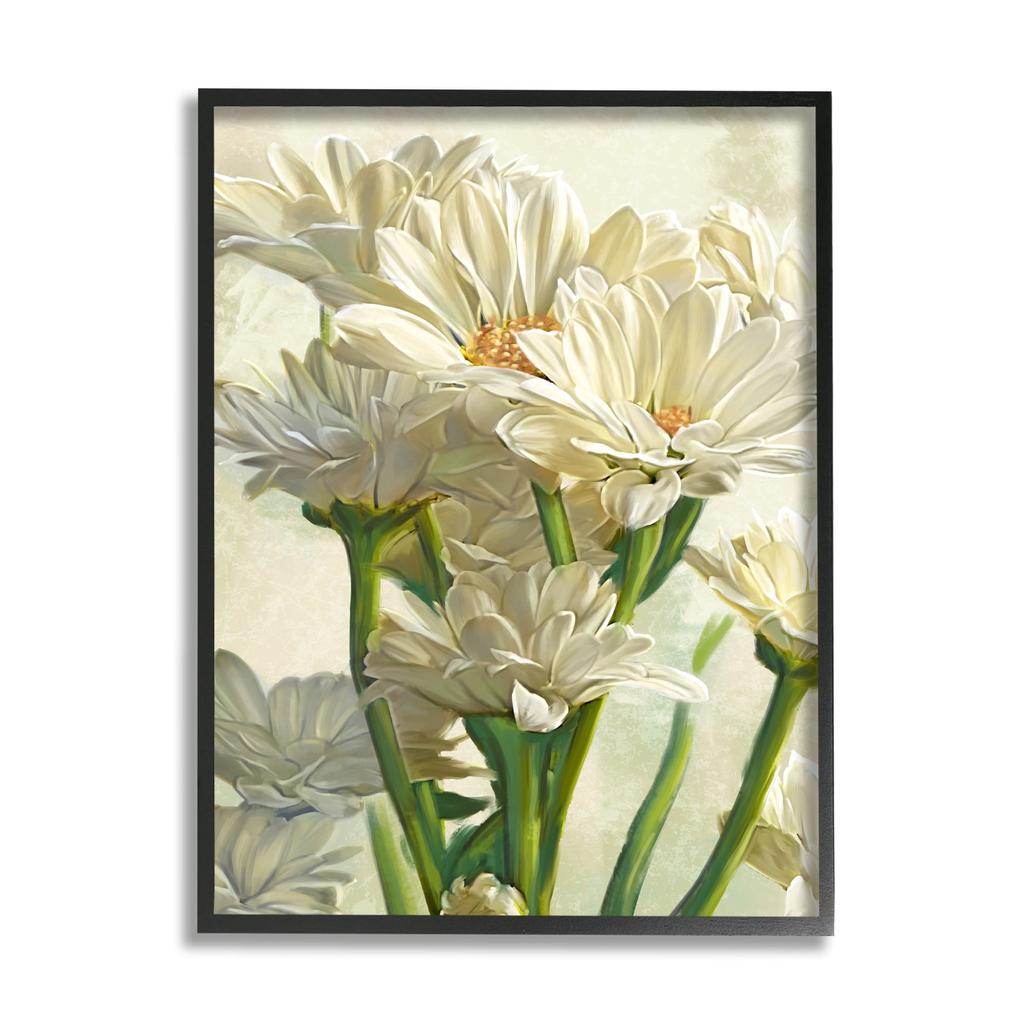 Stupell Industries Study of White Daisy Petals Spring Florals Designed by Ziwei Li