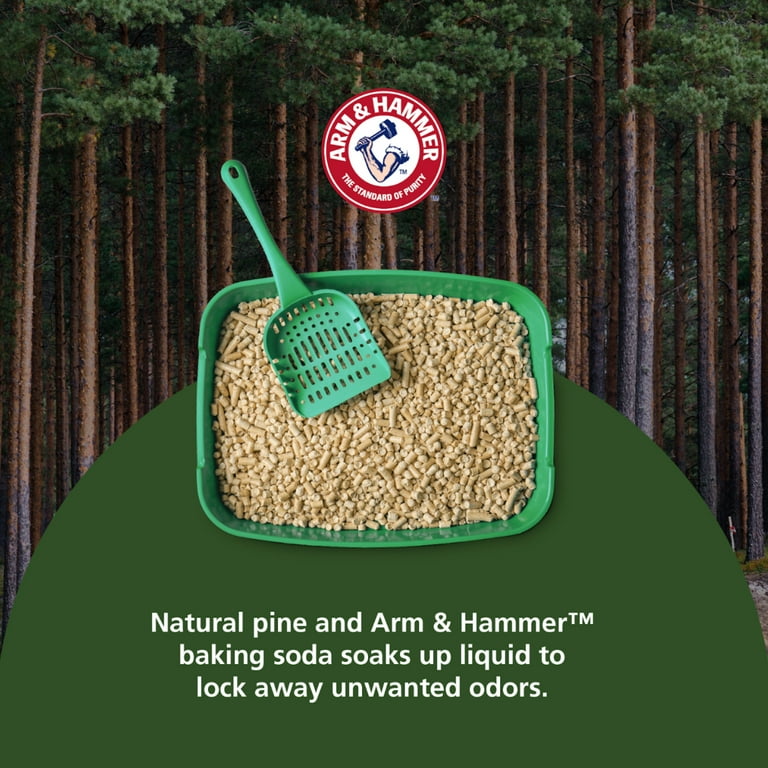 Feline pine litter walmart discount