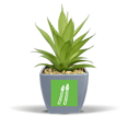 thumbnail image 1 of vegetable expression happy   body Fake Pineapple Flower Pot Vase Mini Decor, 1 of 3