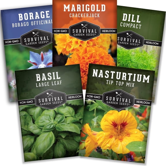 Companion Plant Seeds 5 Variety Pack - Full Sun Annual Herbs