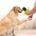 thumbnail image 5 of REK Caoutchouc Naturel Durable Qui Couine pour Jeu Interactif de Dentition Chiot Entraînement, 5 of 5