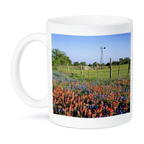 3dRose, Texas, Llano. Indian paintbrush, Bluebonnets - US44 RER0000 - Ric Ergenbright, 15oz Mug