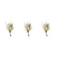 thumbnail image 2 of Yuarrent Dried Flowers Bouquet Dried Plants Flower Decor  Ornament  Wedding Type1, 2 of 6