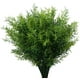 thumbnail image 1 of Helechos artificiales para exteriores, plantas artificiales para exteriores, helechos artificiales Mowaven, helechos grandes y frondosos, plantas decorativas para exteriores, material, 1 of 4