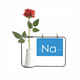 thumbnail image 1 of La química de metales alcalinos de sodio na mesa elementos periodo Botella de decoración de jarrones colgantes de flores rosas artificiales, 1 of 3