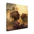 thumbnail image 4 of Canvas Wall Art - Ray Heere 'North American Wildlife 66' Wall Art for Living Room, Bedroom, or Office Décor by Trademark Fine Art - 35 x 35 Inches, 4 of 4