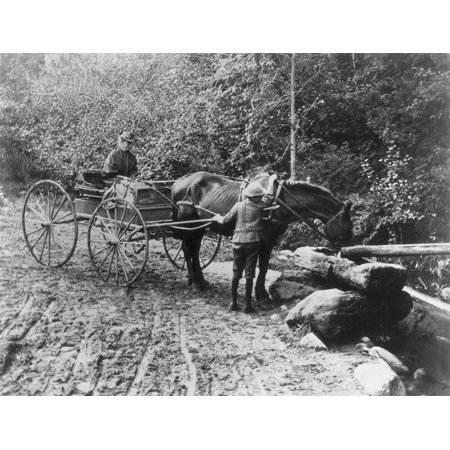 Horse And Buggy. /Namerican, C1910. Poster Print by Granger Collection