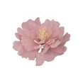 thumbnail image 1 of Crystal Candy Pink Peony Edible Flower Kit, 1 of 2