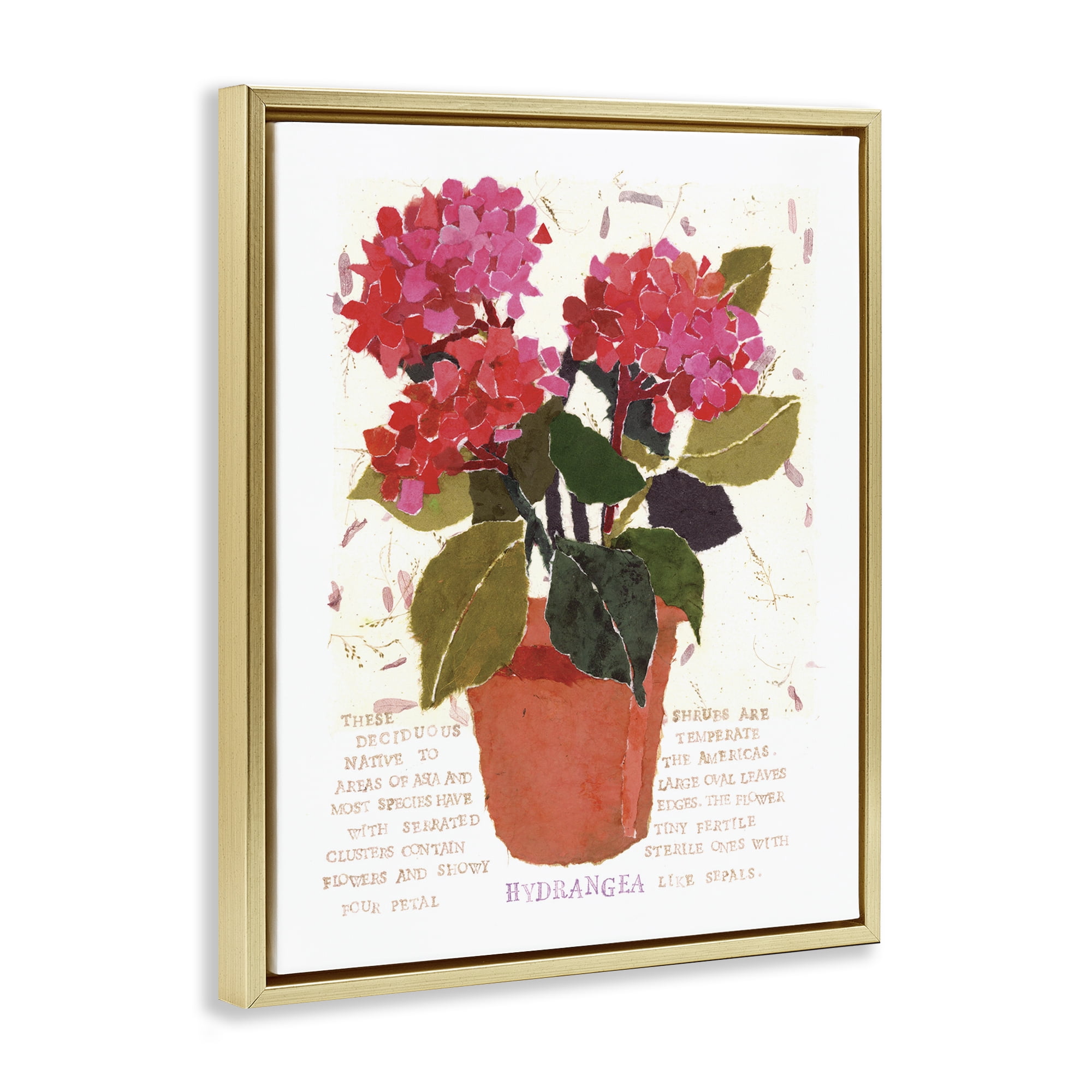 Stupell Industries Bold Red Hydrangea Botanical & Floral Painting Gold Floater Framed Art Print Wall Art, 17 x 21