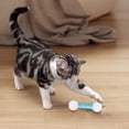 thumbnail image 2 of Ensemble de Jouets Interactifs pour Chat avec Bâtons de Dentition Doux pour Intérieur, 2 of 4