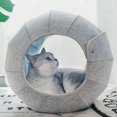 thumbnail image 2 of Condominios de casa de juguete para gatos, camas para gatos de interior, juego de túnel de cueva suave para gatos, juguete plegable multifunción para cachorros, perros y gatos, azul, 2 of 5