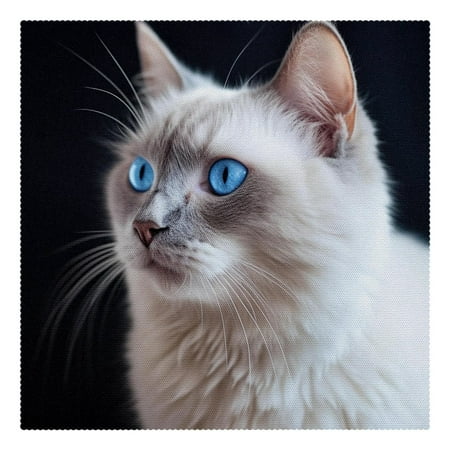 

Placemats Set of 1 Non Slip Place Mats Dining Table Mats Blue Eyes Cat