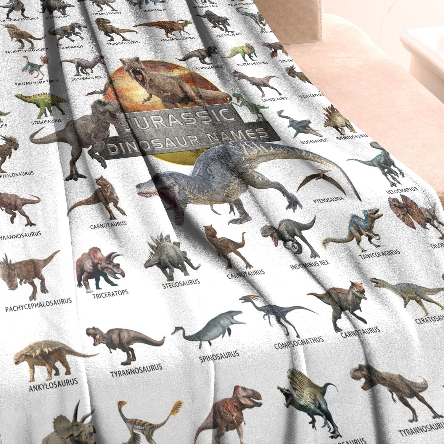 Dinosaur Throw Blanket for Boys - Jurassic Dino World Park Kids Blanket - Christmas Gift Decor for Boys, Jurrassic Dinosaur Thanksgiving Day Gifts Soft Flannel Sofa Bed Throw Blanket 60 X 50 Inch