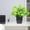 Green5 #5, variant on Artificial Green Potted Plant for Home Decor - Realistic Plastic Faux Plant for Indoor Arrangements, Tv Cabinet, Desk, and Living Room
