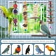 thumbnail image 4 of Juguetes para masticar pájaros, 5 paquetes de juguetes de madera natural para periquitos, jaula colgante para loros, soporte para percha para pájaros pequeños, cacatúas, loros, periquitos, p, 4 of 5
