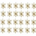 thumbnail image 1 of 24Pcs Christmas Glitter Artificial Poinsettia Flowers Xmas Poinsettia Artificial Wedding Flowers Decorations Xmas Tree Ornaments for Party Favors, 6inch, 1 of 9