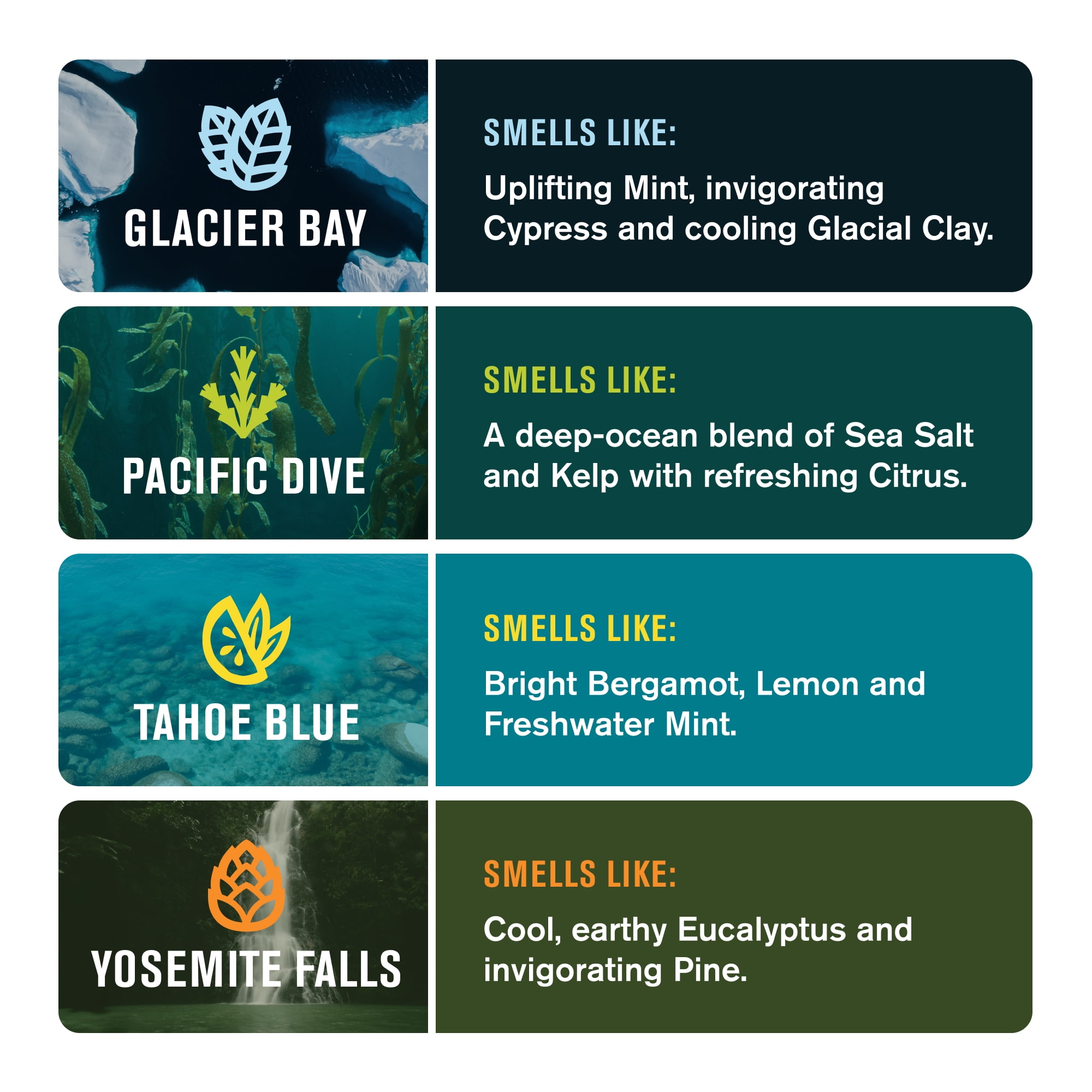 Every Man Jack Cold Processed Mens Bar Soap Variety Pack, Pacific Dive, Glacier Bay, Tahoe Blue and Yosemite Falls (4 Pack)