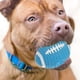 thumbnail image 2 of Pelota chirriante para perros, juguete interactivo para perros pequeños, pelota de rugby, juguete para masticar para cachorros, 2 of 7