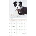thumbnail image 5 of Trends International 2024 Puppies Wall Calendar, 5 of 7