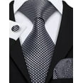 thumbnail image 5 of Barry.Wang Classic Ties for Men Formal Business Wedding Solid Paisley Necktie Set, 5 of 5