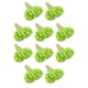thumbnail image 1 of Naiovety 60 unidades/juego de flores secas para oficina, Hotel, sala de estar, boda, ceremonia, fiesta, banquete, hierbas, accesorios, Verde 10piezas, 1 of 6