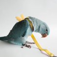 thumbnail image 4 of Adjustable Bird Harness With 80 Inch Leash, Outdoor Flying Kit Training Rope For Birds Parrots CockatielM, 4 of 5