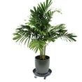 thumbnail image 4 of ToppiJoy Plant Caddy with Wheels Heavy Duty Iron Tray 14 Inch Round Planter Base with Brake Wheels for Moving Large Flower Pots Indoor & Outdoor, 4 of 11