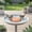 A, variant on Copper Bird Bath Disk Water Purifier Cleaner Non-Slip for Outdoor Birdbaths,D