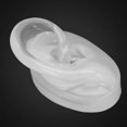 thumbnail image 3 of Silicone artificial ear model for hearing aids (right ear), 3 of 4