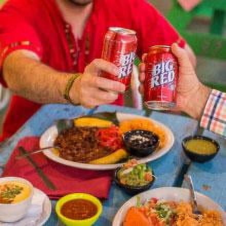 Big Red Soda Soft Drink, 12 Fl Oz (Pack of 24)