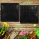 thumbnail image 3 of unbranded 2Ud Bandejas Para Plantas Negros De Material PP Con Durabilidad Para Uso En Casa, 3 of 8