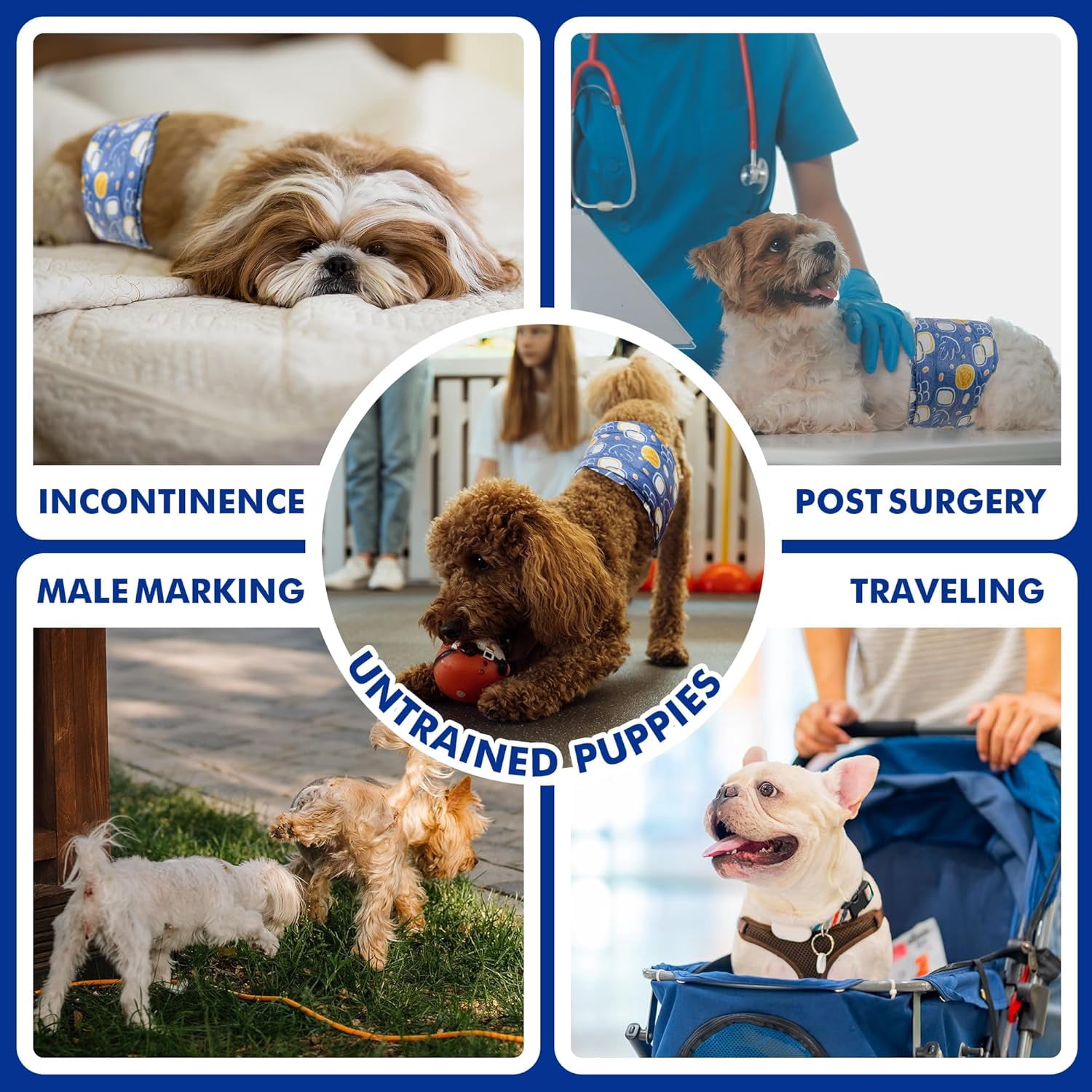 Petbb Male Dog Diapers, Disposable Male Dog Wraps with Wetness Indicator, Super Absorbent | Leak Proof Doggie Diapers for Incontinence, Marking, Puppy Training, M,18-25-inch Waist, 30 Counts