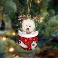 thumbnail image 2 of Christmas Tree Ornaments, Dog Christmas Decorations, Funny Dog Themed Holiday Tree Decorations with Candy Cane and Christmas Hat Designs, Durable Plastic Material, 3.14x2.75 Inches Hanging Pendant, 2 of 2