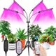 thumbnail image 1 of Trípode 120LED Luz de crecimiento de plantas Espectro rojo y azul Luz de relleno de plantas Soporte de piso Luz de plantas JAMW Sencillez, 1 of 5