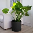 thumbnail image 6 of Bloem Mathers 12" Modern Resin Planter - Indoor Pot with Drainage Holes and Removable Saucer Tray, Black, 6 of 6