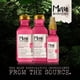 thumbnail image 4 of Maui Moisture Lightweight Hydration + Hibiscus Shampoo + Conditioner for Daily Moisture, No Sulfates, 13 Fl Oz, 4 of 10