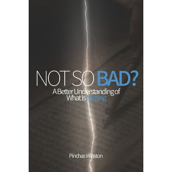 Not So Bad? : A Better Understanding of What Is Missing (Paperback)