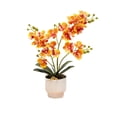 thumbnail image 2 of Artificial Orchid Potted Plant | Realistic Fake Silk Flower Bonsai Tree | Home Office Desk Dining Table Centerpiece Decor | Ceramic Pot Included, 2 of 6