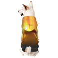 thumbnail image 1 of Fotbe Cartoon Swimming Yellow Duck Sudadera con Estampado para Perros Pequeños – Suéter con Capucha para Mascotas, Tela Suave de Forro Polar con Bolsillo-XX-Large, 1 of 7