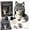 A4, variant on Fantasy Hood Hat DIY Crochet Kit,Complete Crochet Set for Beginners with 5 Animal Styles,All-in-One Kit with Yarn Hooks and Instructions,Handmade Craft Gift for Adults(A2)