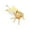 GD, variant on Yhmxh Kitchen Gadgets Kitchen Utensils Home and Kitchen European Classical Style Bee Sugar Cup,Atmospheric Golden Sugar Cup with Spoon,High-end Kitchen Seasoning Can,Metal Handicraft Sugar Bowl