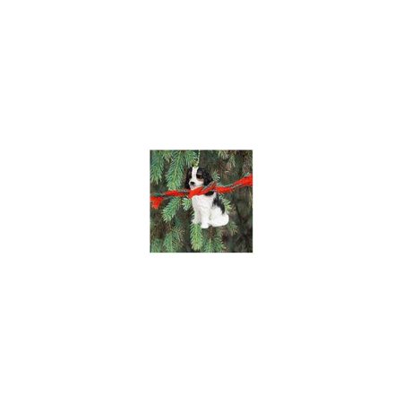Tri Cavalier King Charles Spaniel - 1 X Cavalier King Charles Spaniel Miniature Dog Ornament - Tri Color