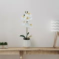thumbnail image 7 of Home Accents 16-inch Artificial Real Touch Phalaenopsis Orchid in Cream Glaze Ceramic Pot, Yellow, 7 of 7