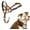 Desert Sand, variant on Halti Headcollar Black Size 1