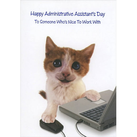 Designer Greetings Kitten with Laptop Cute Cat Administrative Assistant's Day Card for Co-Worker