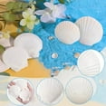 thumbnail image 3 of 36PCS 2\\\'\\\'-3\\\'\\\' Natural Scallop Shells For DIY Crafts, Beach Decor & Weddings For Creating Decorative / Crafting Jewelry, 3 of 6