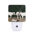 thumbnail image 1 of Balery Cute Goat Baby Luz Nocturna LED con Sensor Automático, Enchufe con Sensor Crepuscular, Luz Suave de 0.5W para Dormitorio, Pasillo, Baño-EU, 1 of 7