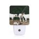 thumbnail image 1 of Fotbe Cute Goat Baby Luz Nocturna LED, Luz de Noche con Sensor de Luz Natural de Anochecer a Amanecer, Se Enchufa a la Pared, Blanco Cálido 0.5W-US, 1 of 7