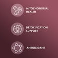 thumbnail image 3 of Dr. Mercola NAC with Milk Thistle, 30 Servings (60 Capsules), 500 mg N-Acetyl-Cysteine Per Serving, Dietary Supplement, Supports Normal Detoxification Processes, Non-GMO, 3 of 7